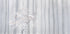 In front of the misty curtain Plakat - Posterbox