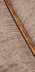 Feather_007 Plakat - Posterbox