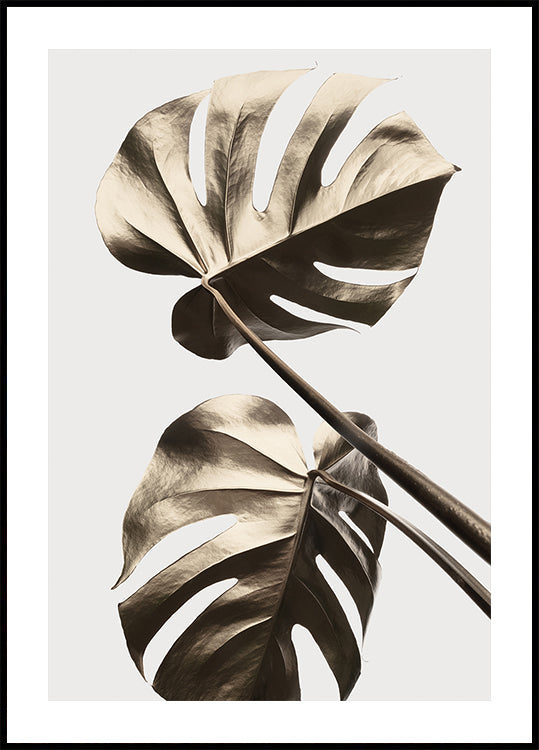 Monstera Gold 08 Plakat - Posterbox