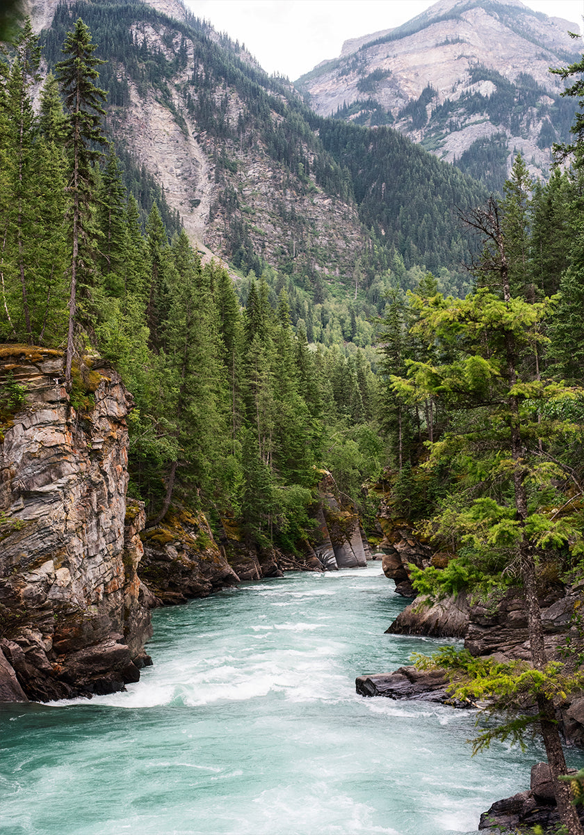 Gorges de la rivière Poster