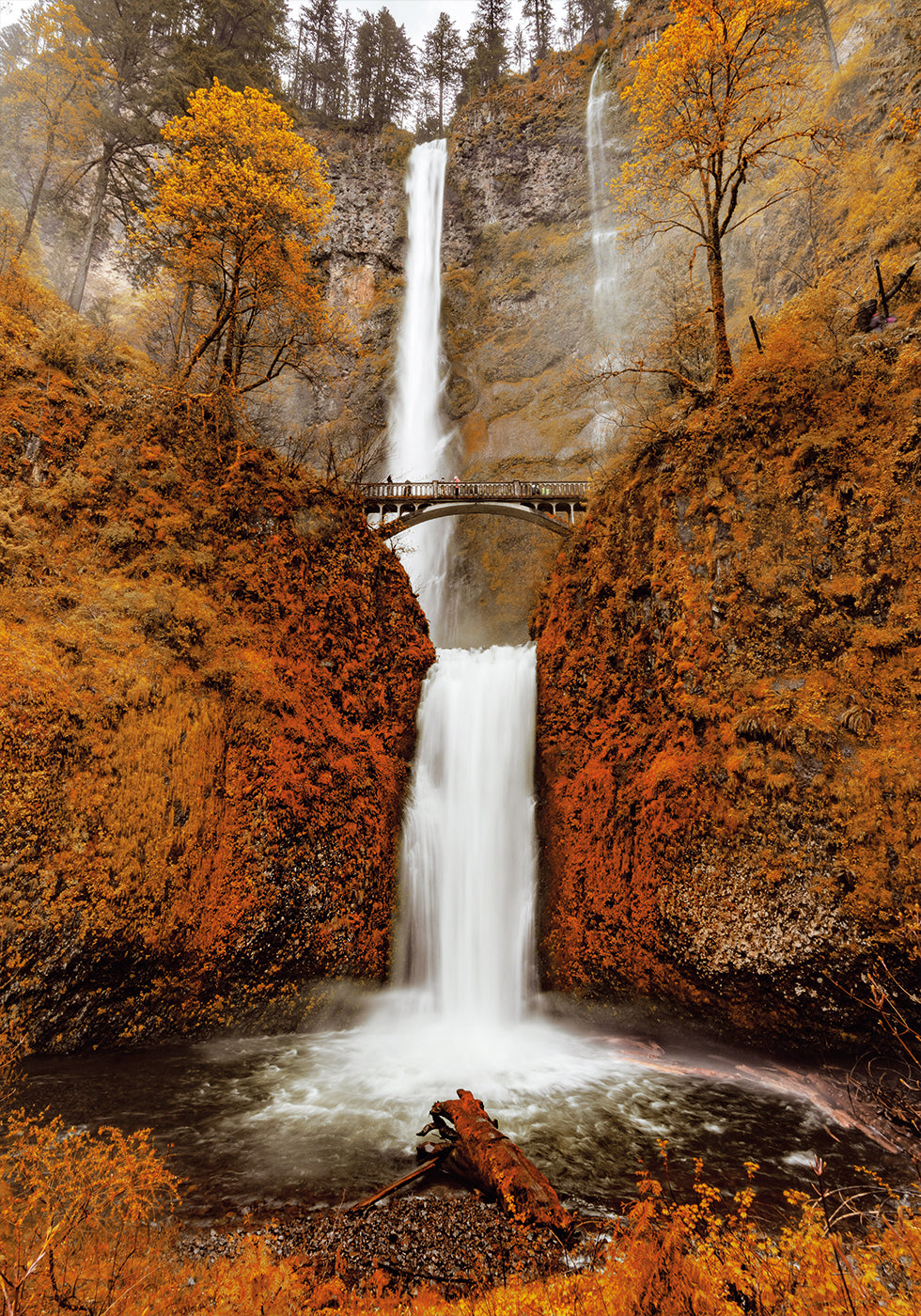 Autumn Waterfall in the Forest Plakat - Posterbox.dk