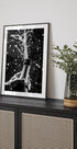 Champagne Celebration Plakat - Posterbox.dk
