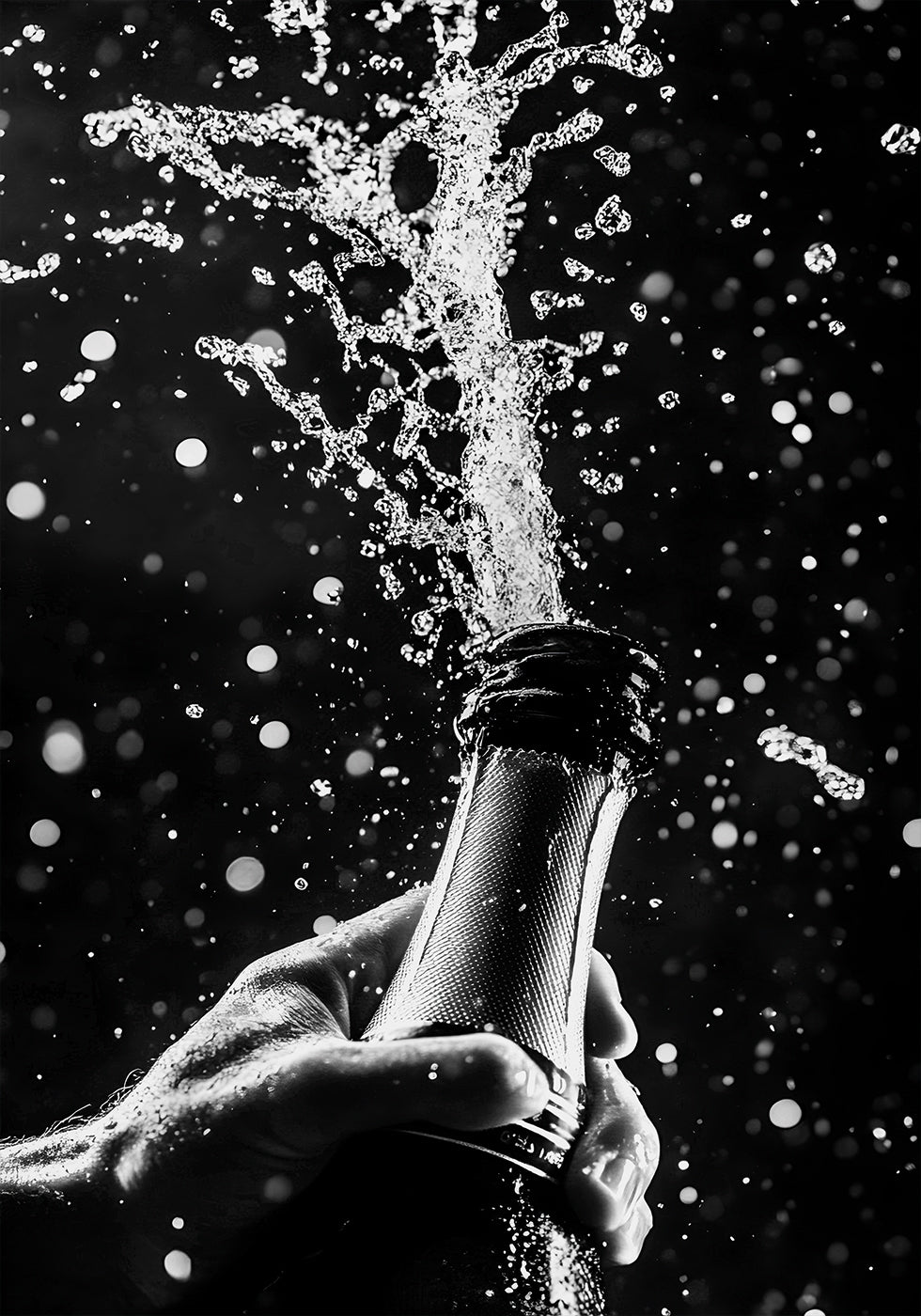 Champagne Celebration Plakat - Posterbox.dk