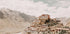 Key Monastery in the Himalayas Plakat - Posterbox.dk