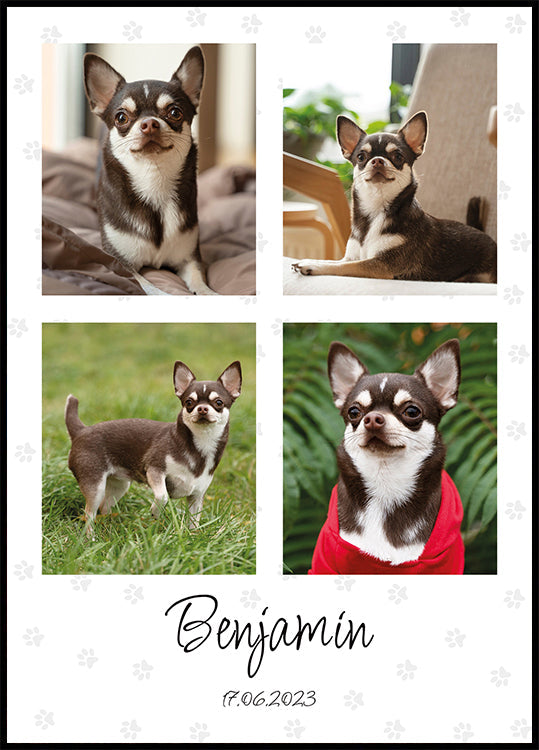 Collage de photos d'animaux de compagnie personnel - Posterbox