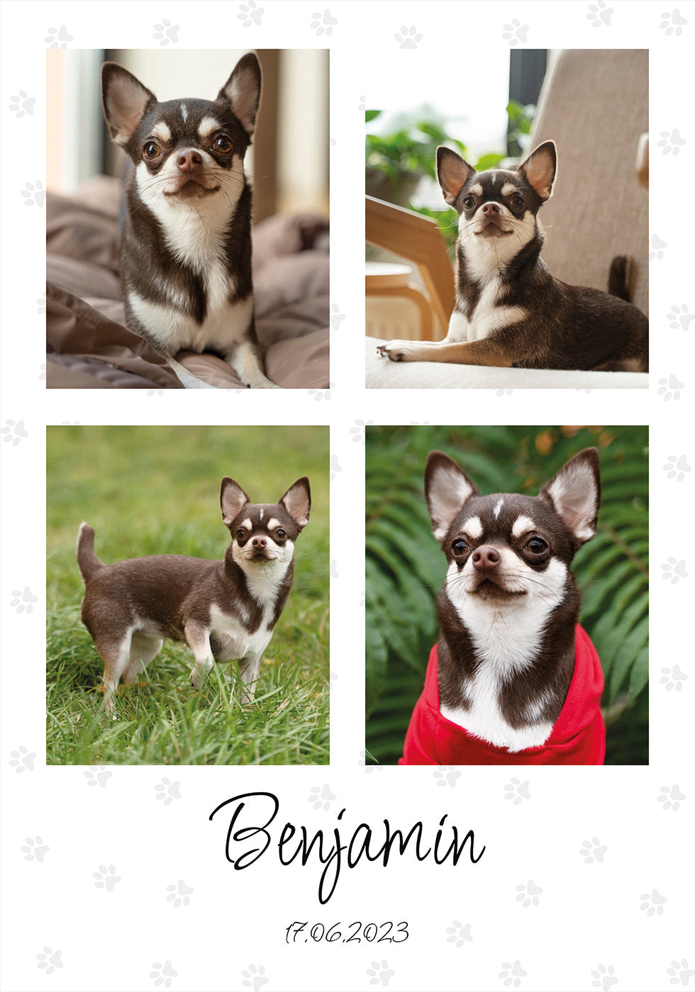 Collage de photos d'animaux de compagnie personnel - Posterbox