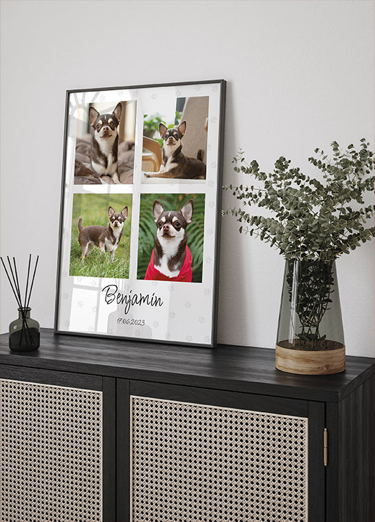Collage de photos d'animaux de compagnie personnel - Posterbox