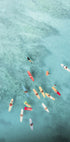 Surfers at Sea Plakat - Posterbox