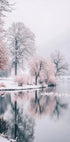 Swans on a Winter Lake Plakat - Posterbox.dk