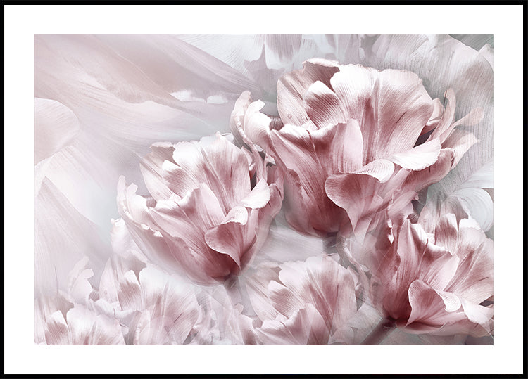 Tender Pink Tulips Plakat - Posterbox.dk