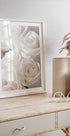 White Blossoming Roses Plakat - Posterbox.dk