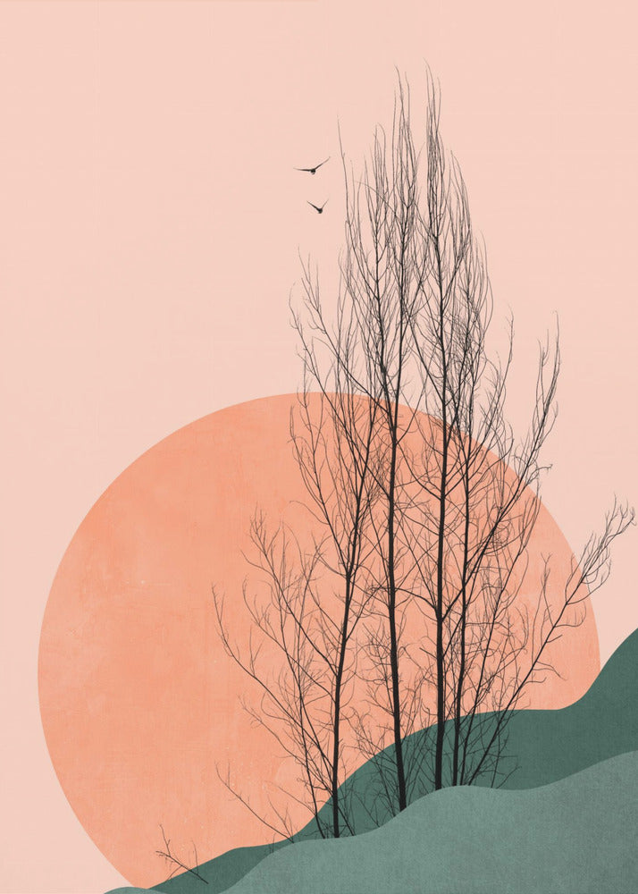 Souvenirs du coucher du soleil Poster