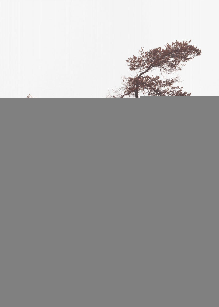 Pins sculpturaux Poster