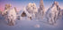 home sweet home Plakat - Posterbox