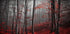 Bloody River Plakat - Posterbox