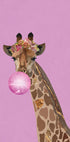 Giraffe pink bubblegum Plakat - Posterbox