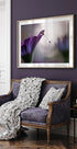 Purple rain - Posterbox
