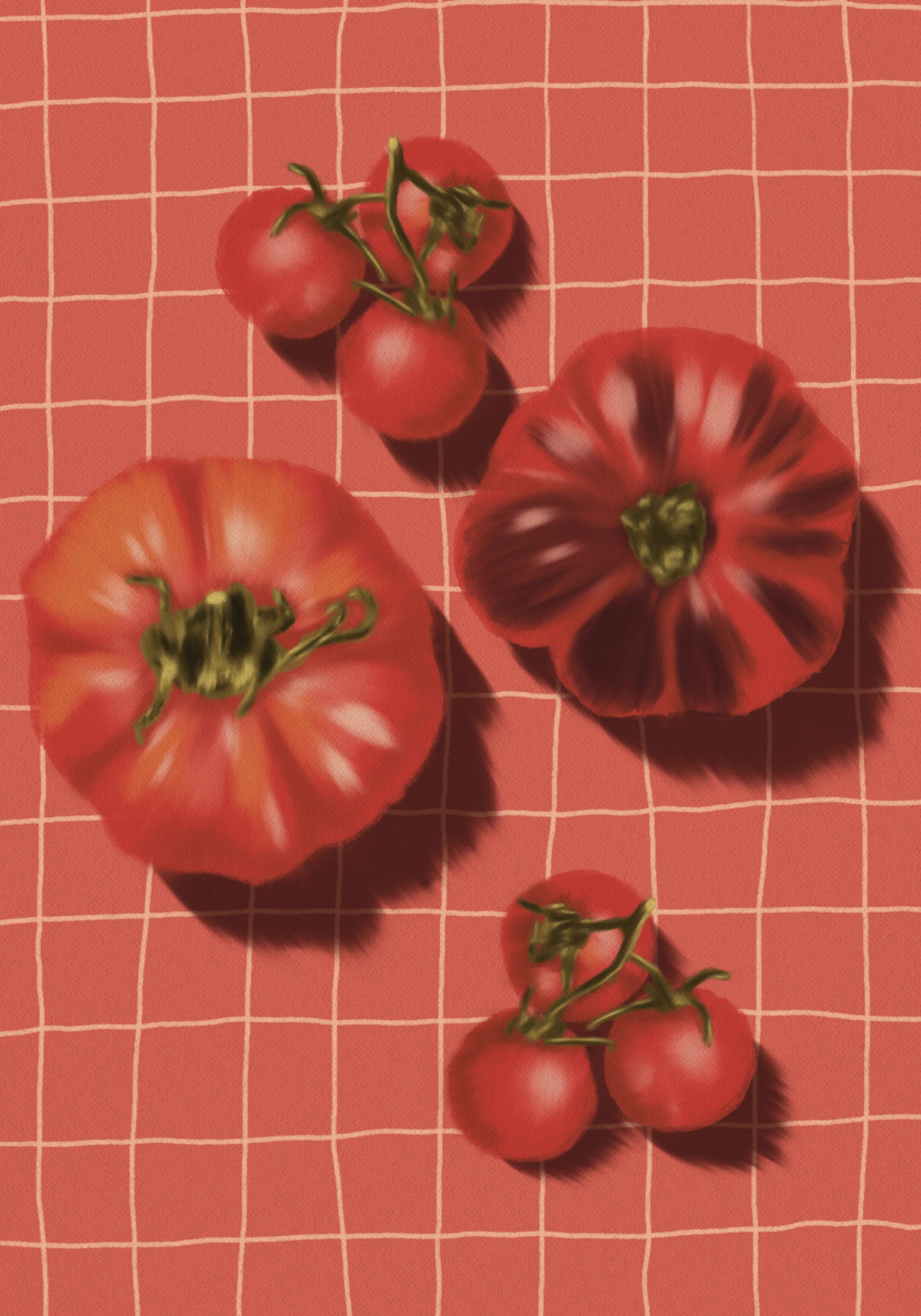 Tomates rouges rustiques
