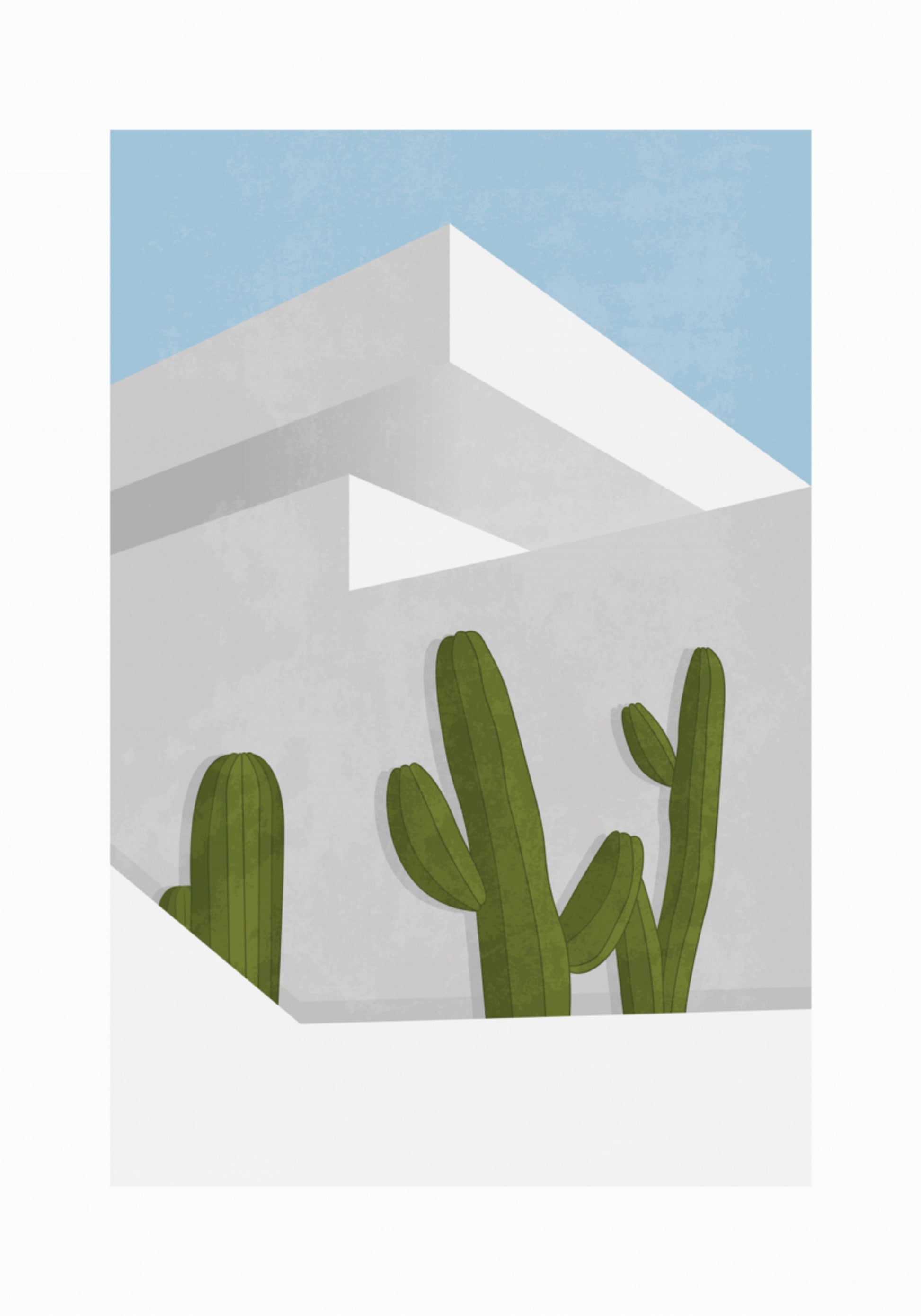 Cactus du désert minimaliste