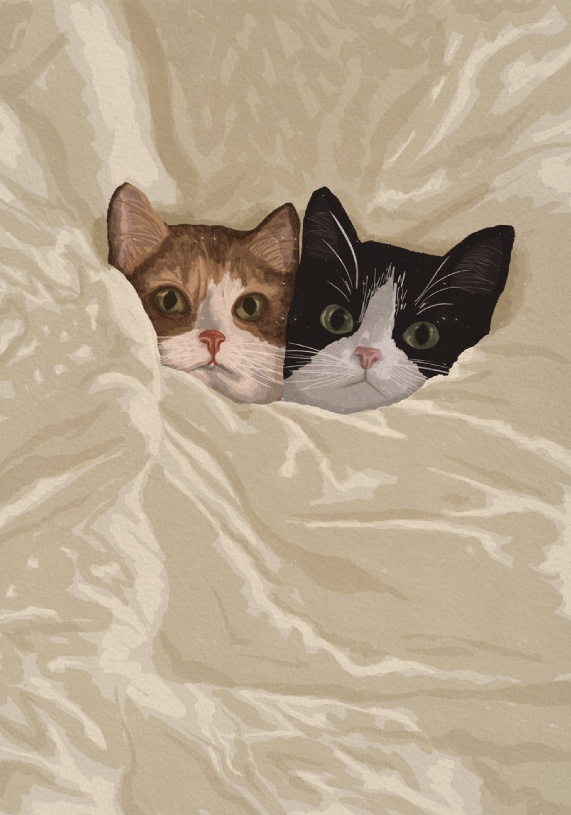 Chats confortables jetant un coup d’œil