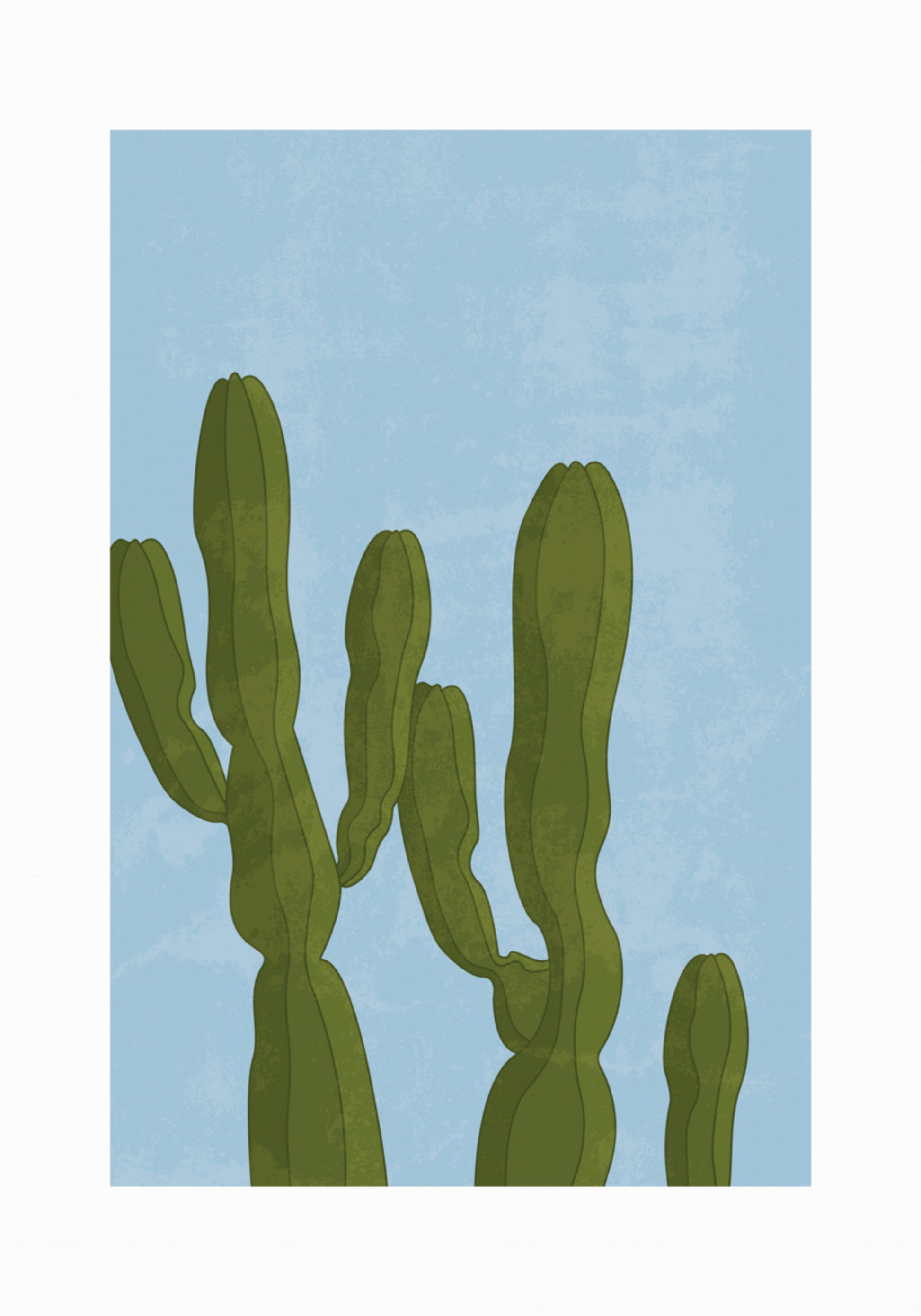 Towering Desert Cacti