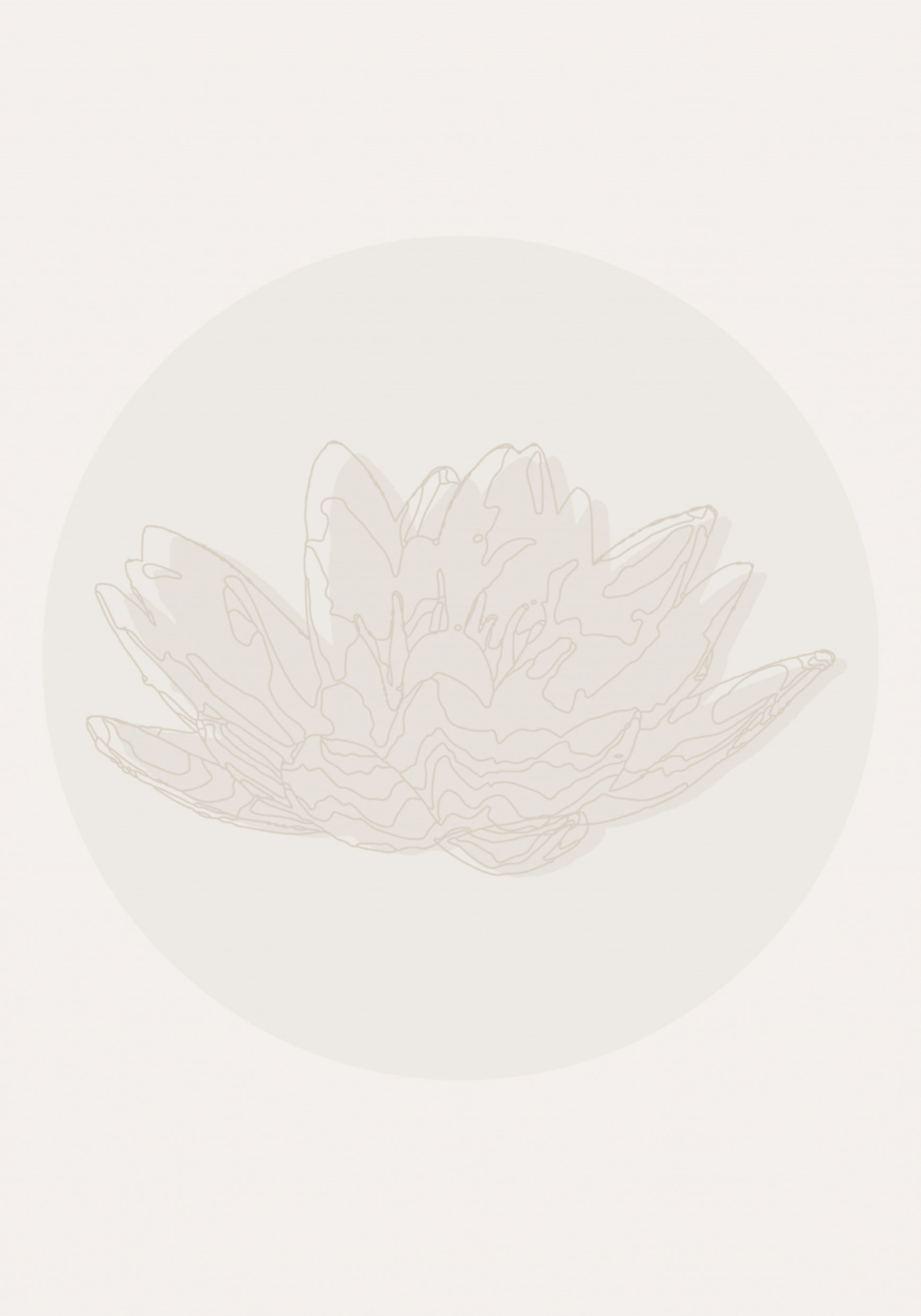 Fleur de lotus sereine