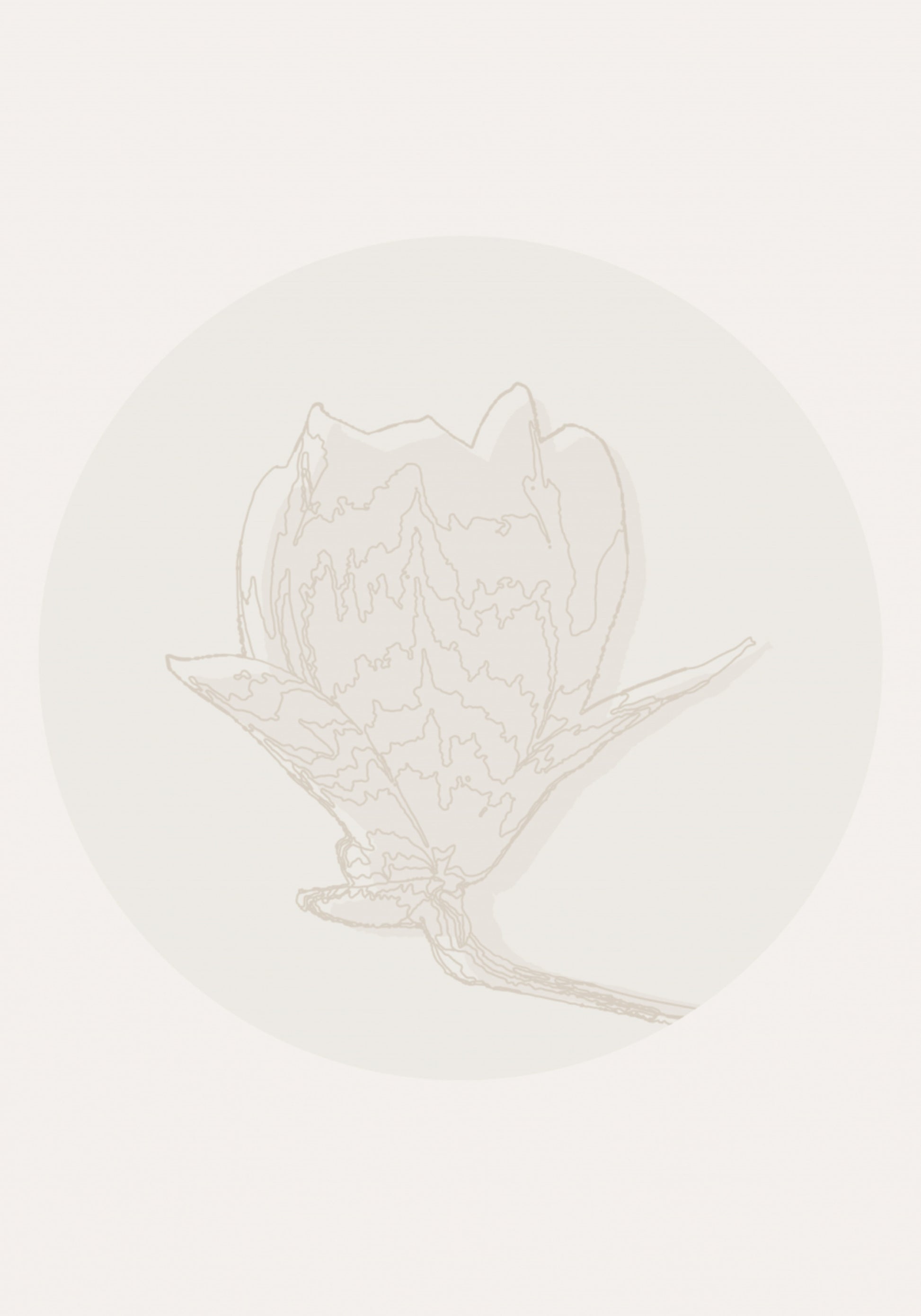 Contour floral délicat