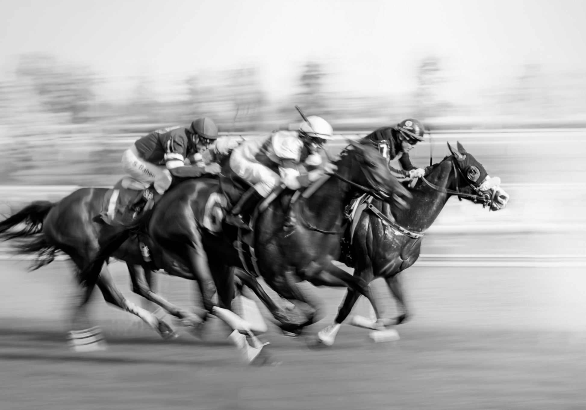Chevaux de course au galop