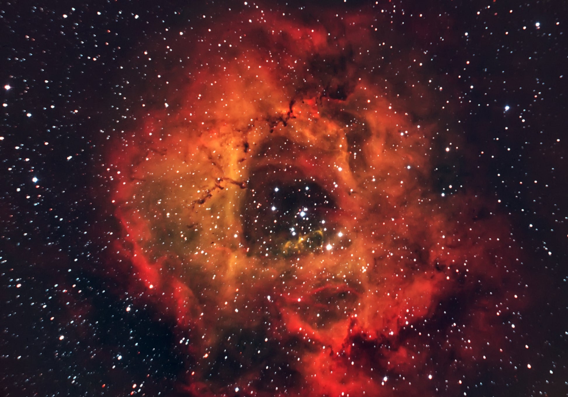 Nébuleuse de la Rose Cosmique