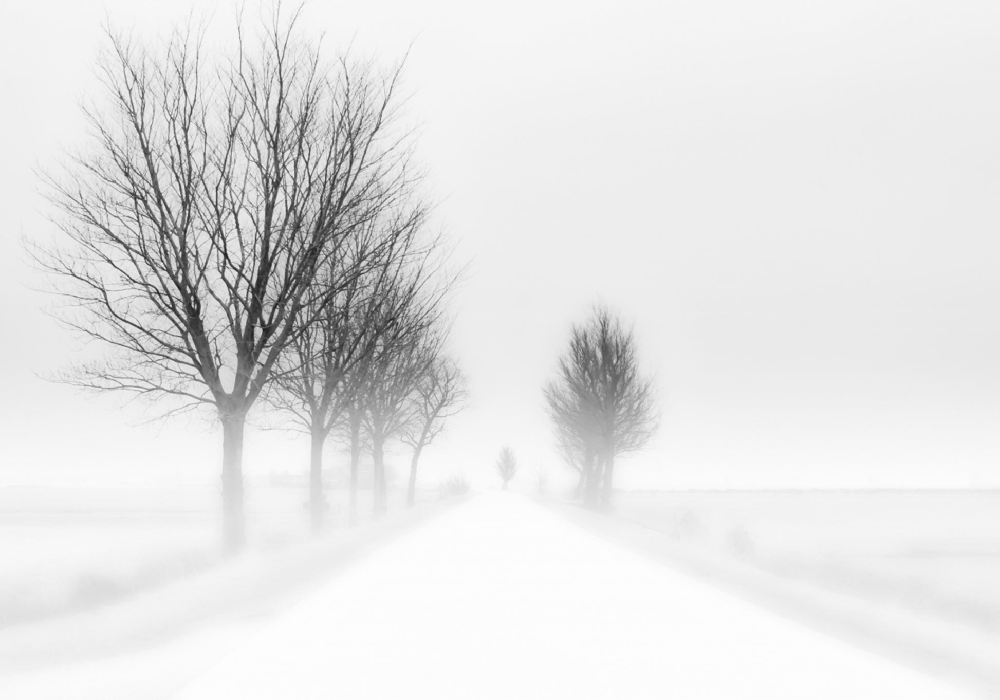 Route d'hiver brumeuse