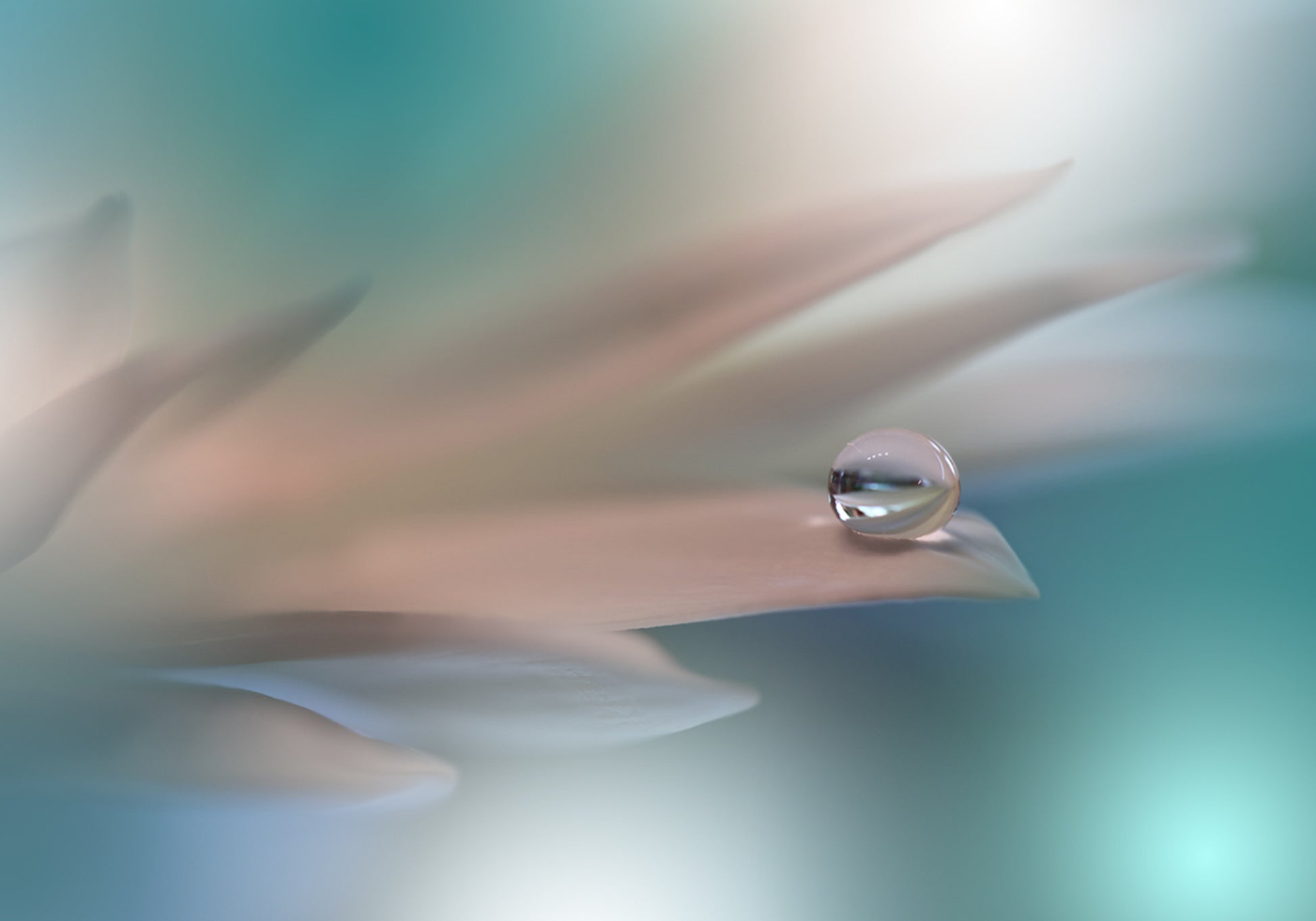 Gouttelette d'eau délicate