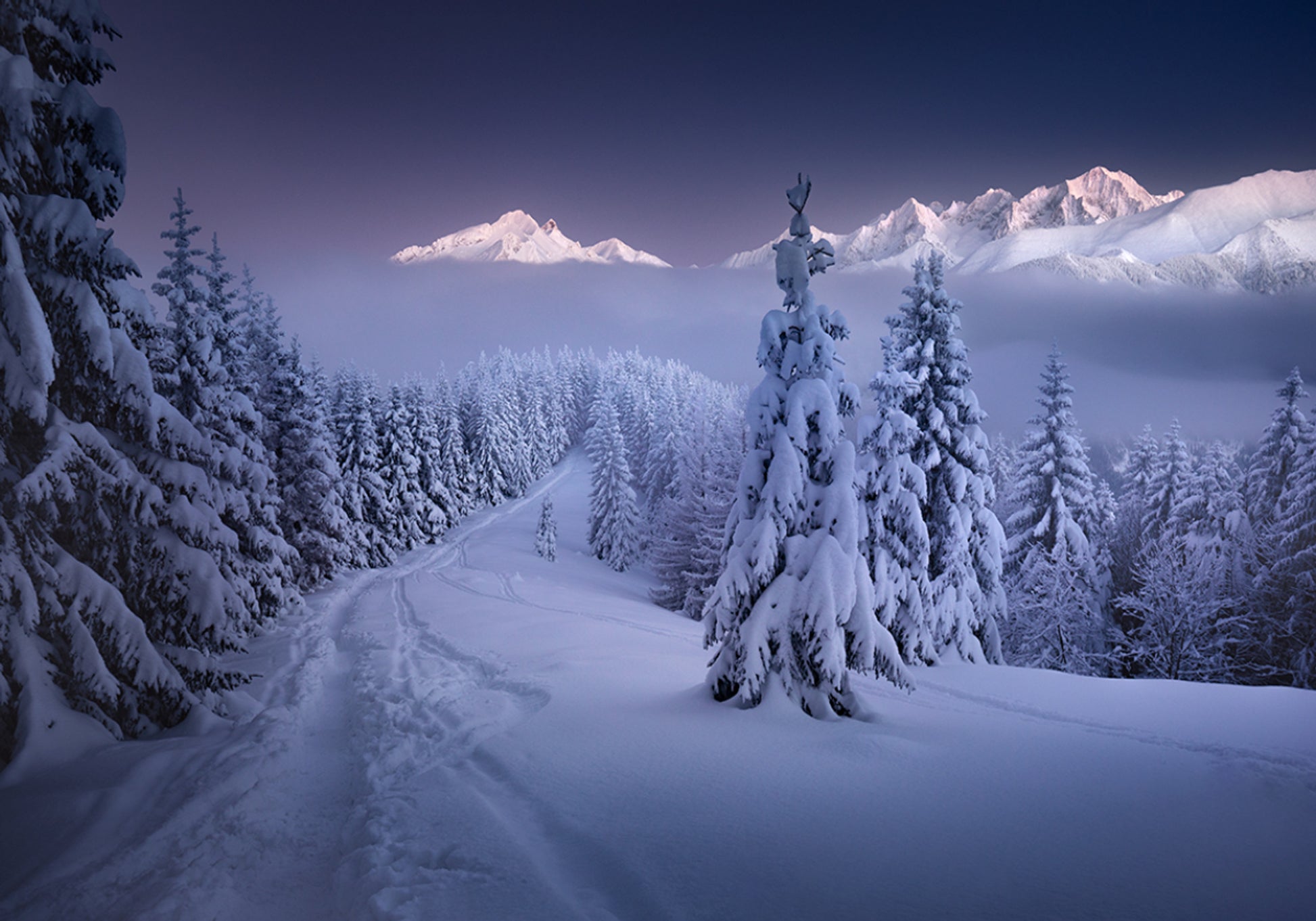 Sentier de montagne de la forêt d'hiver