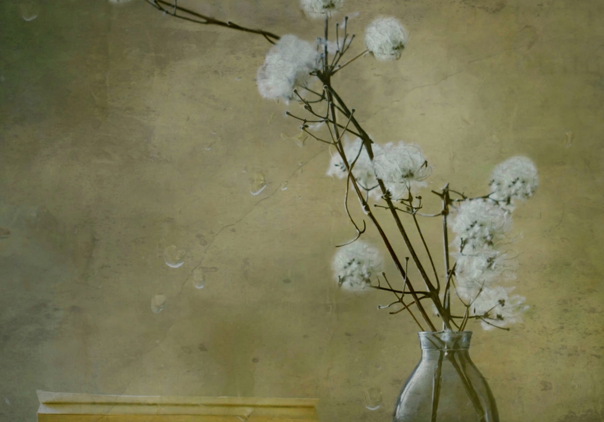 Fleurs moelleuses sereines