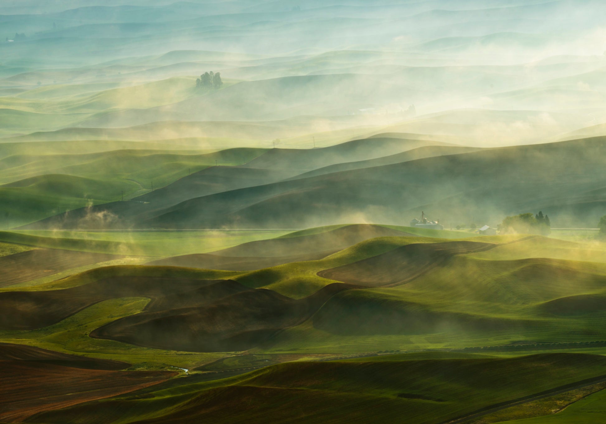 Collines du matin doré