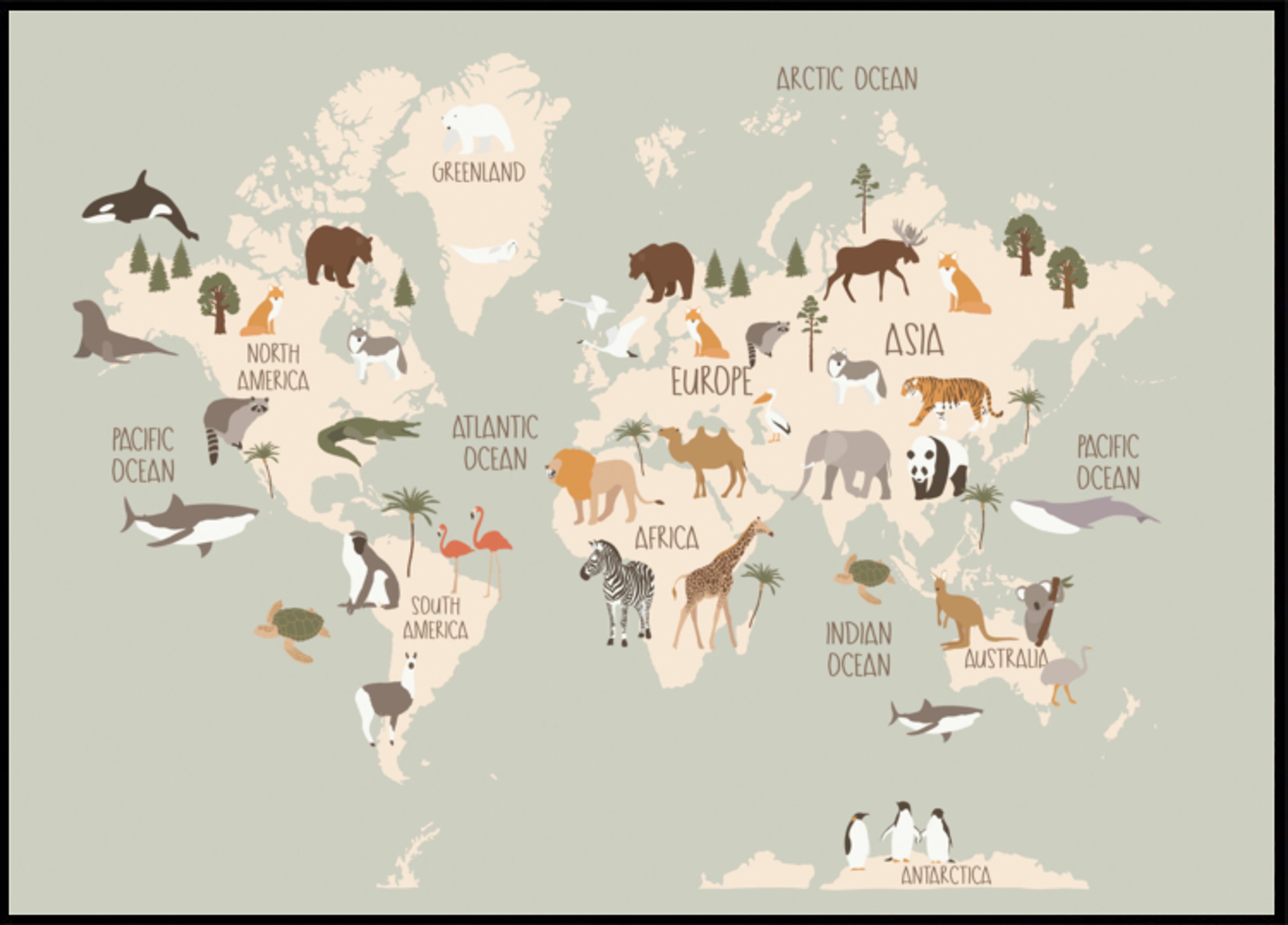 Carte du monde de la faune