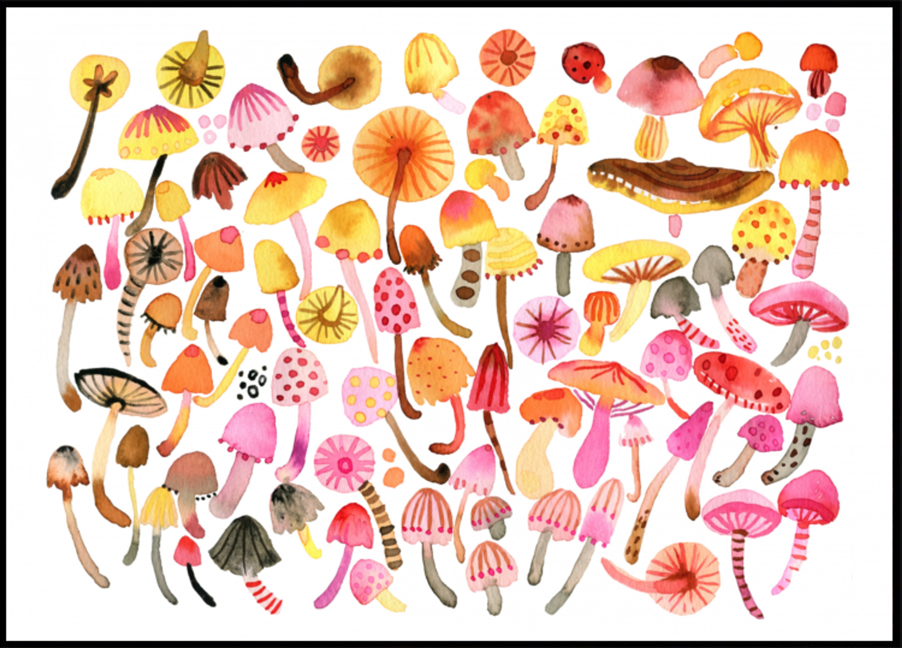 Collection de champignons fantaisistes