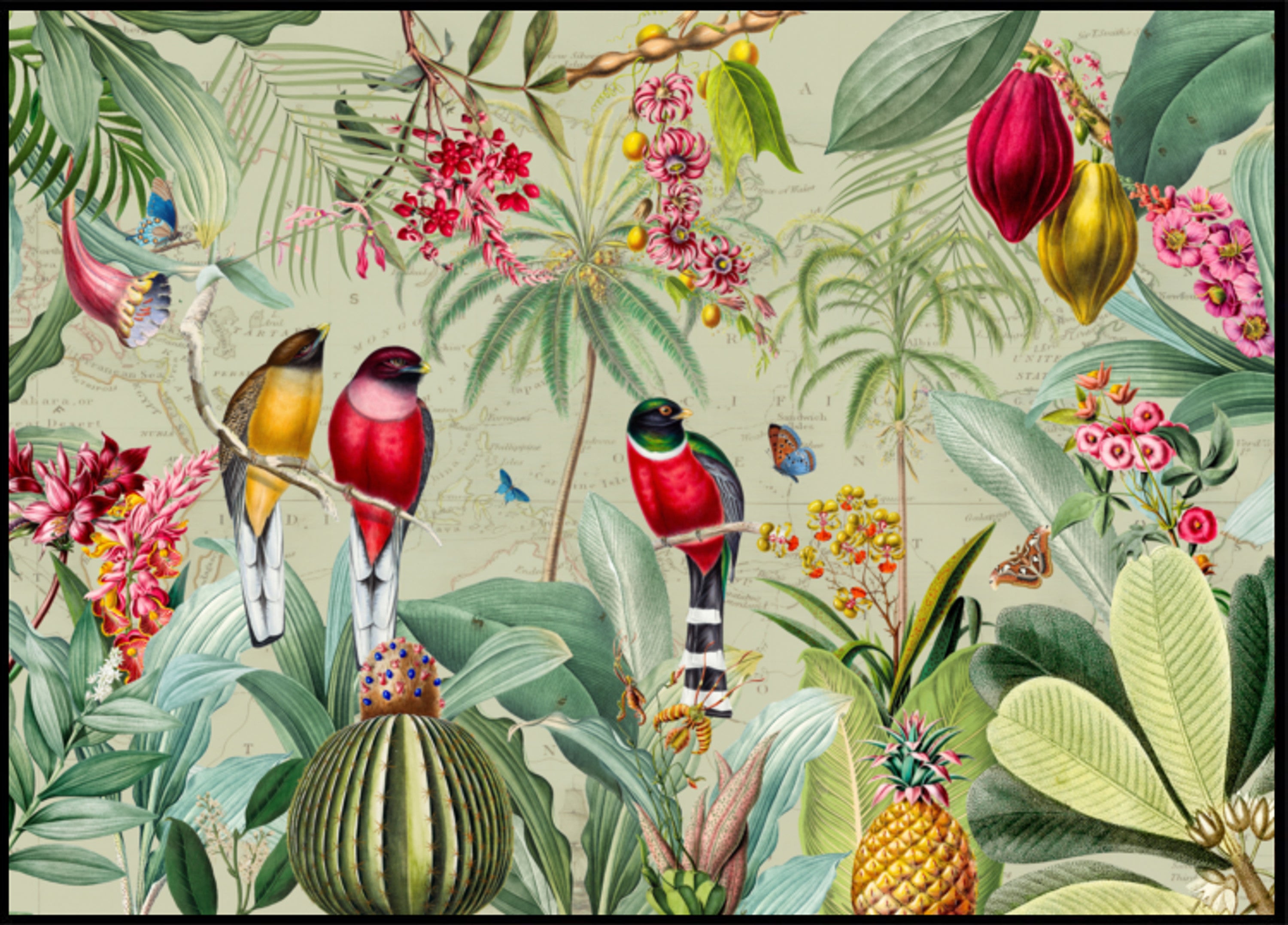 Oiseaux de la jungle tropicale