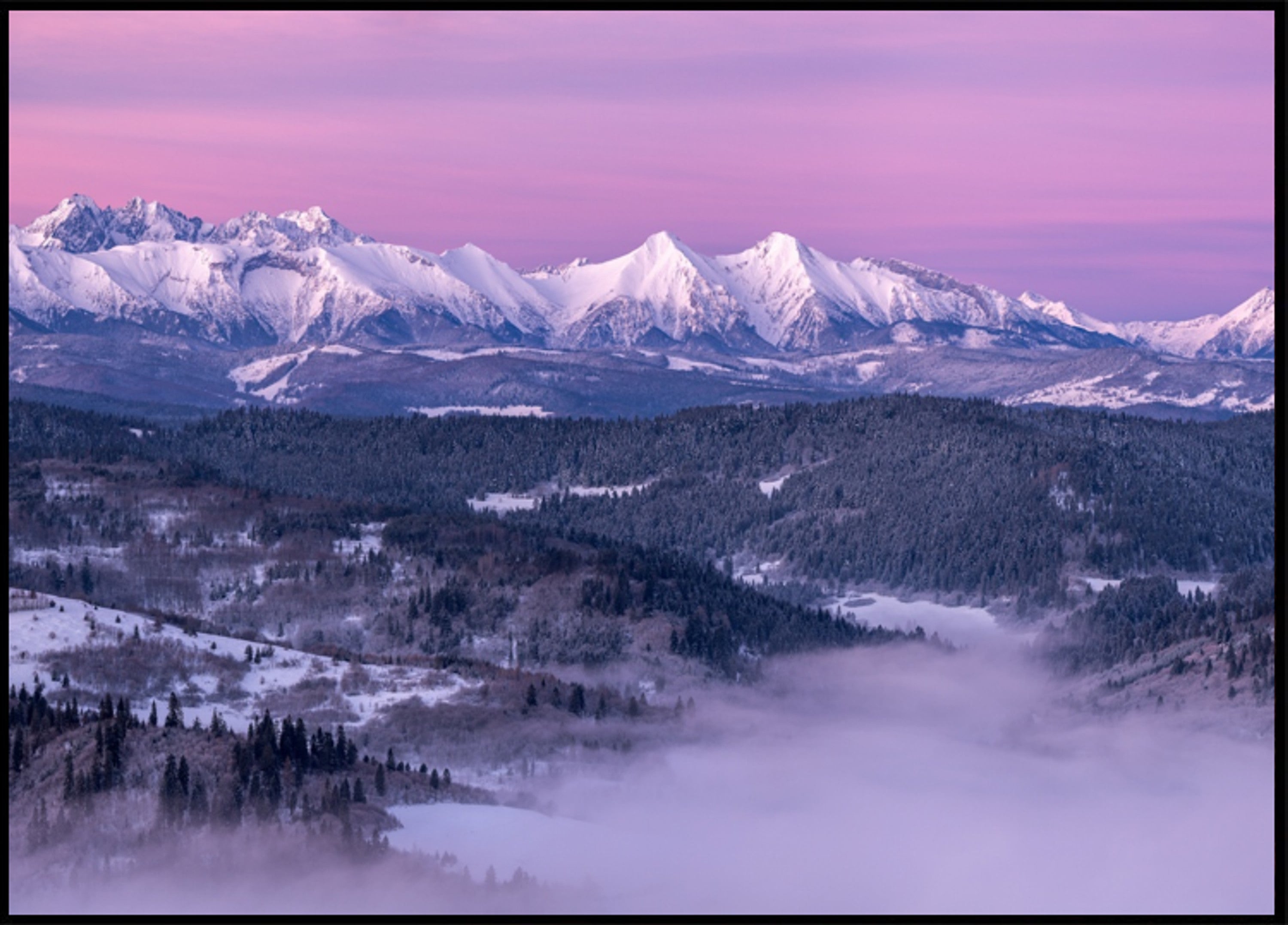 Aube de la montagne pourpre