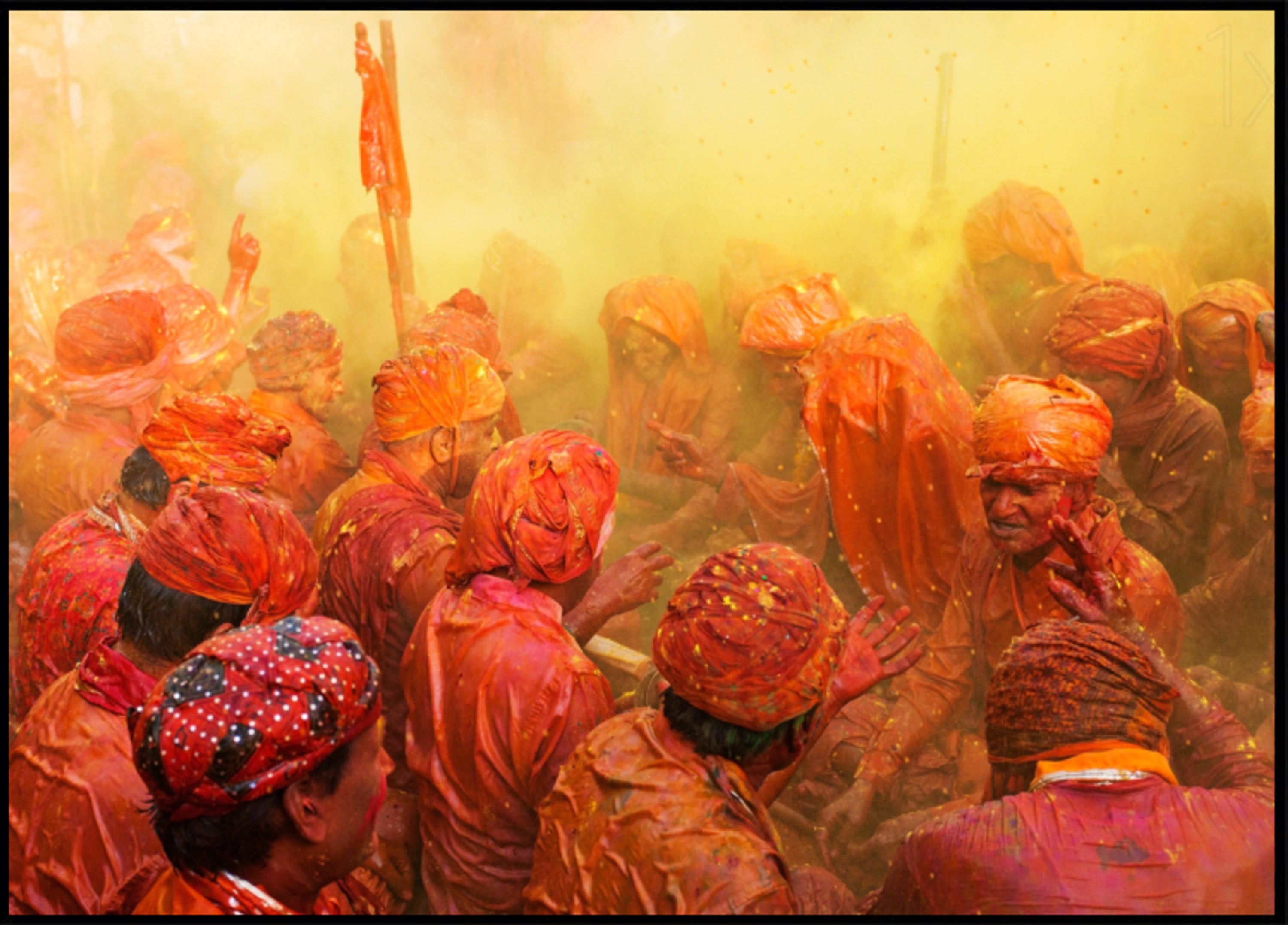 Célébration dynamique de Holi