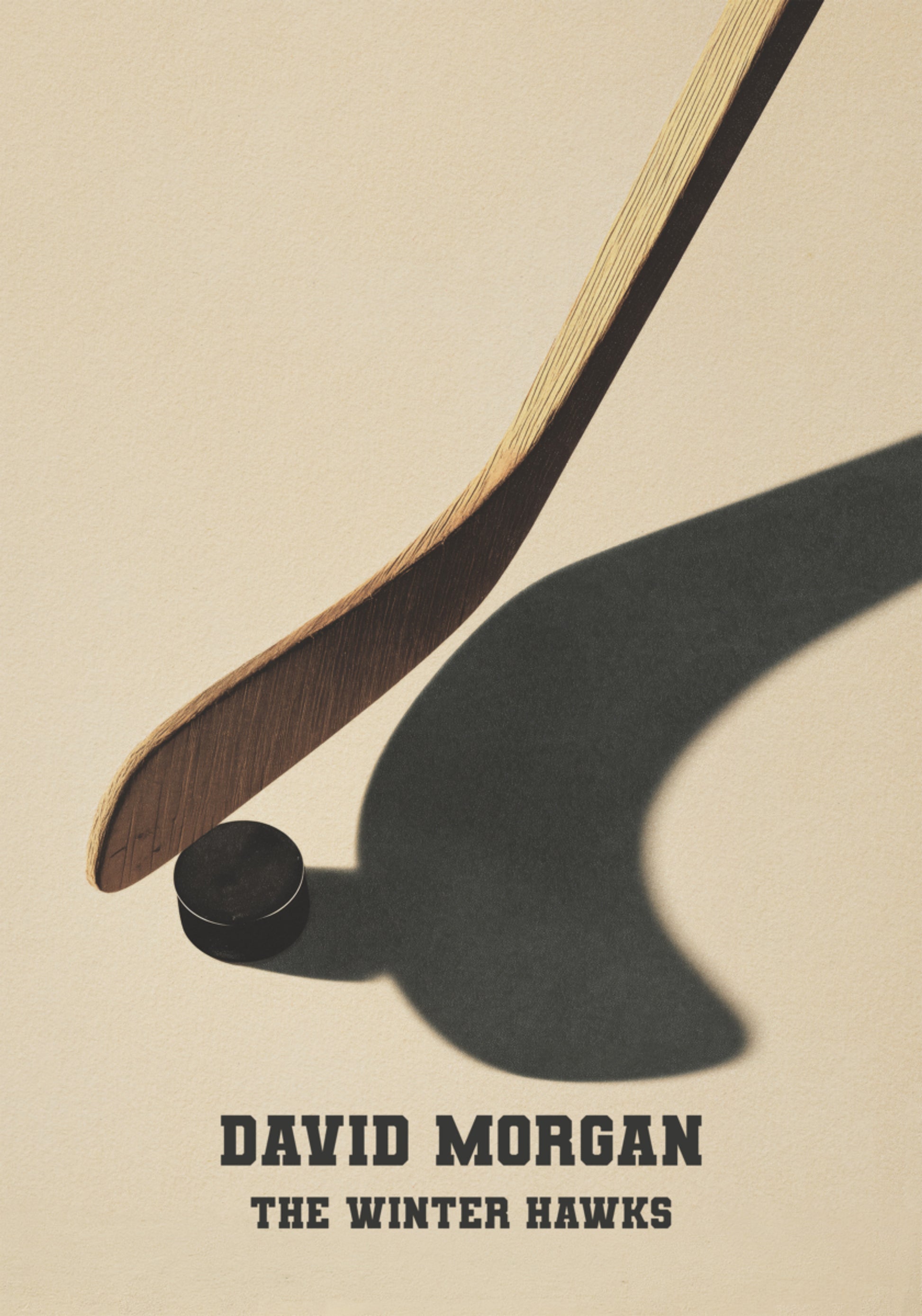 Billet de botte de hockey vintage et d'ombre de rondelle