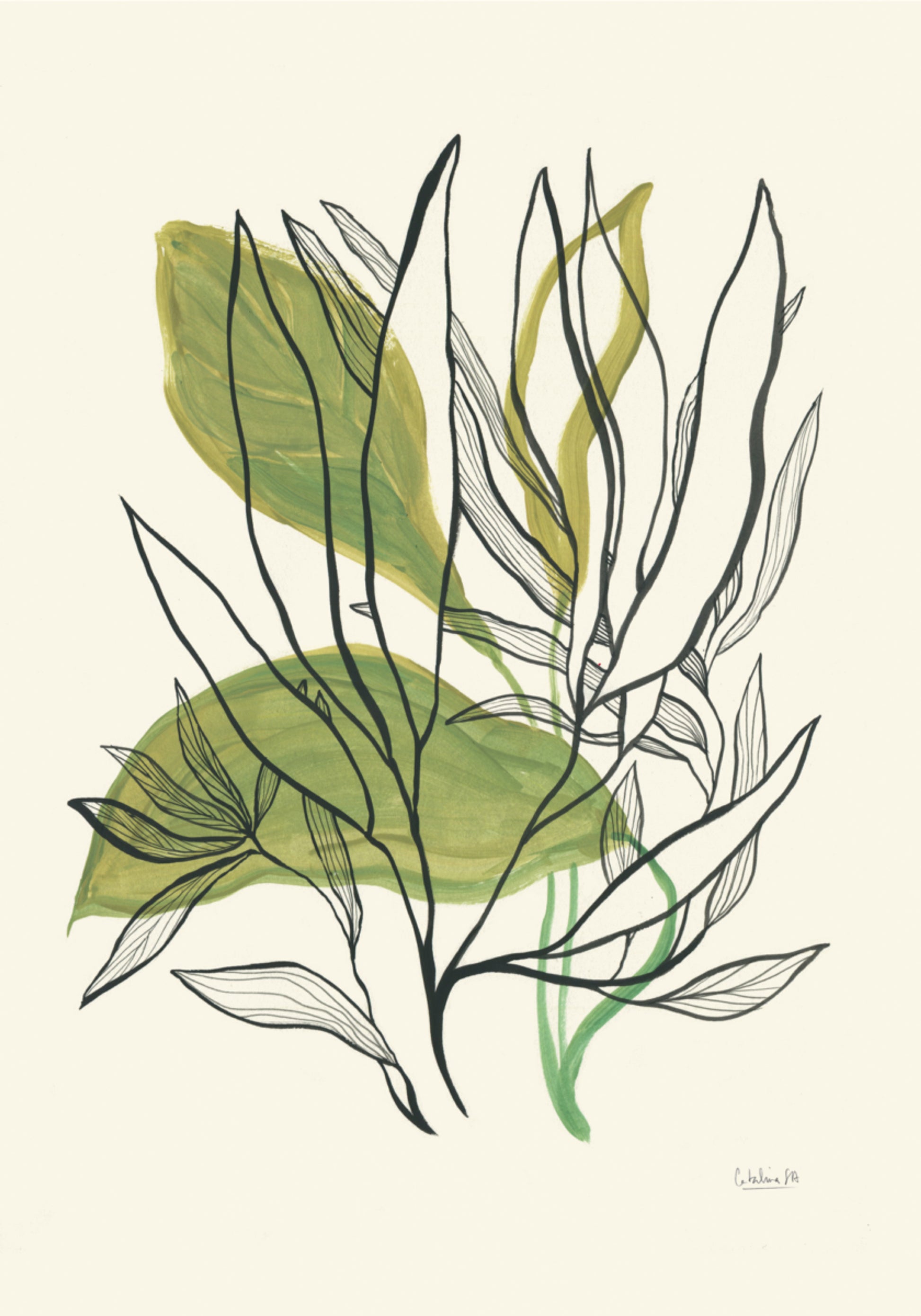 Feuilles botaniques modernes
