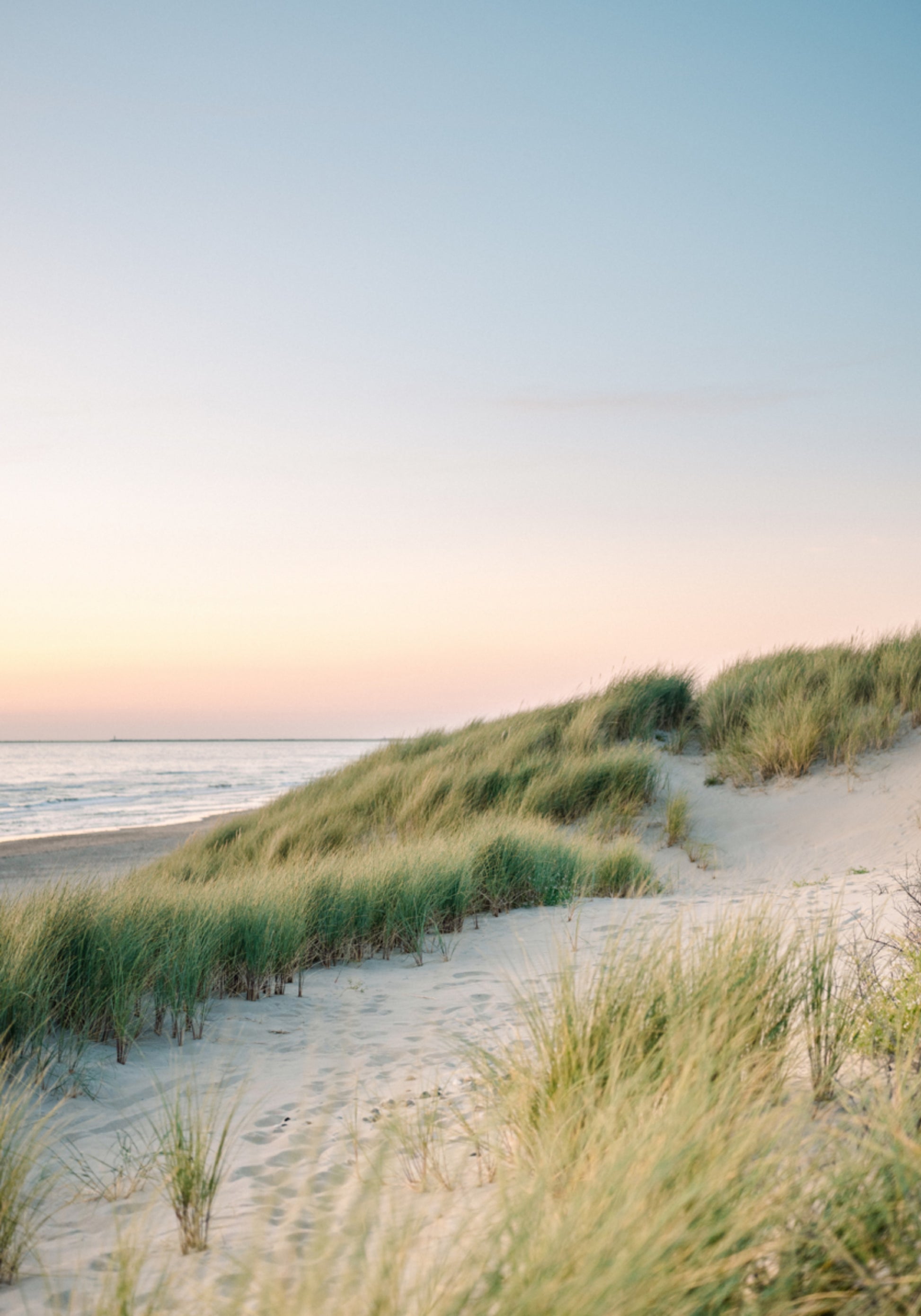 Dunes hollandaises