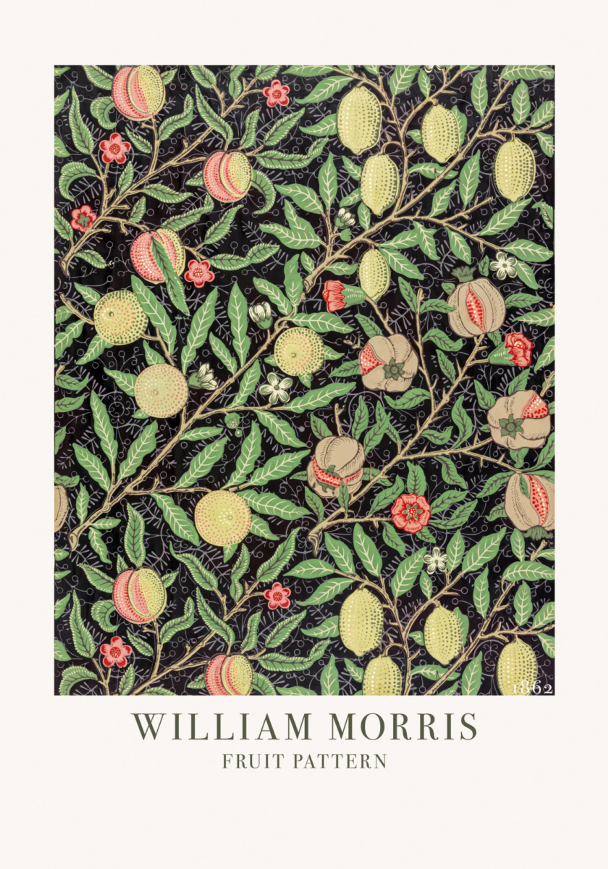Modèle de fruits