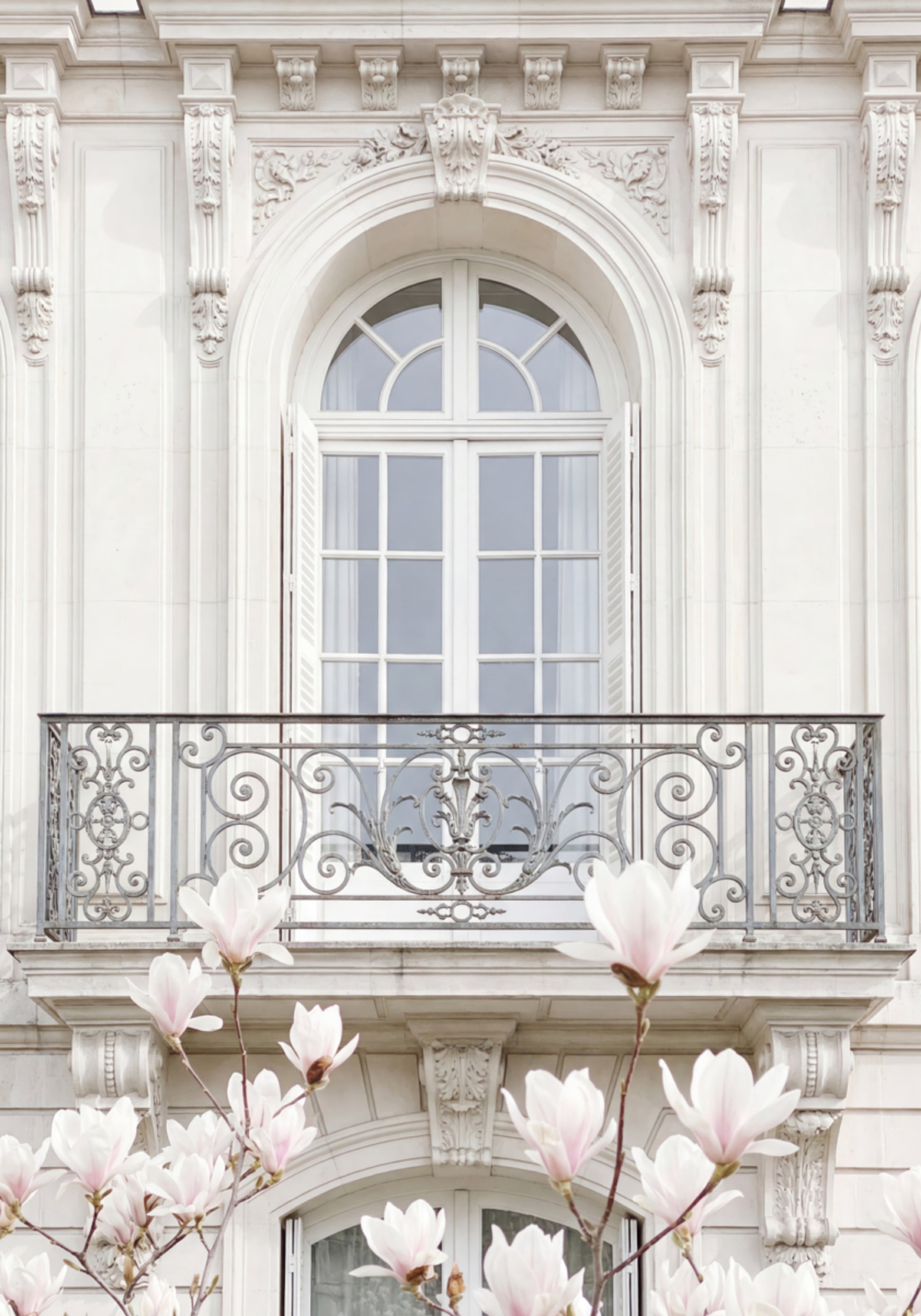 Magnolias de façade blancs