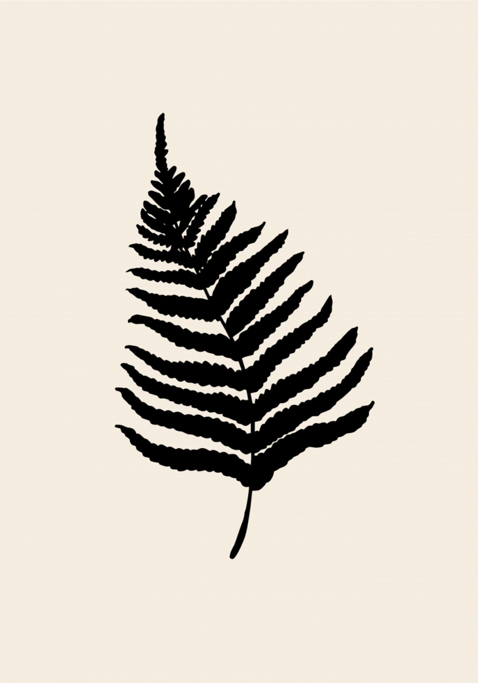 Silhouette minimale de fougère