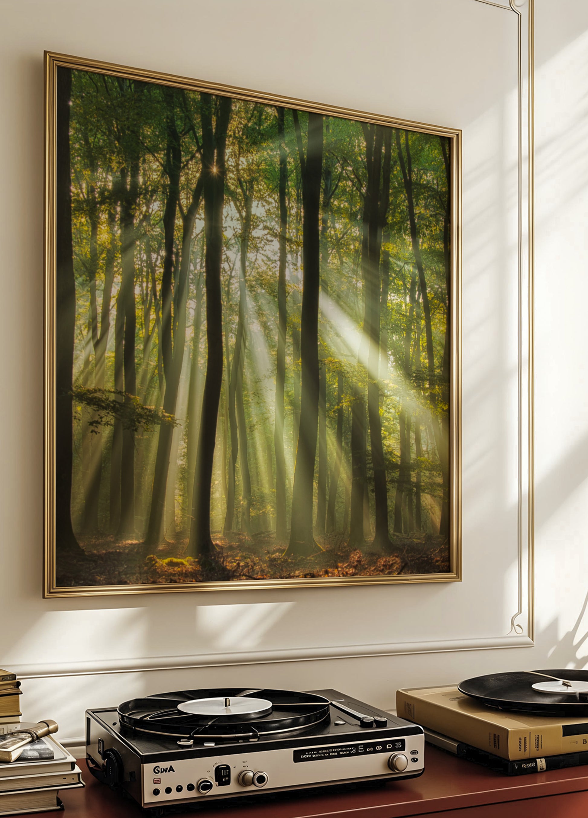 Forêt ensoleillée du matin brumeux