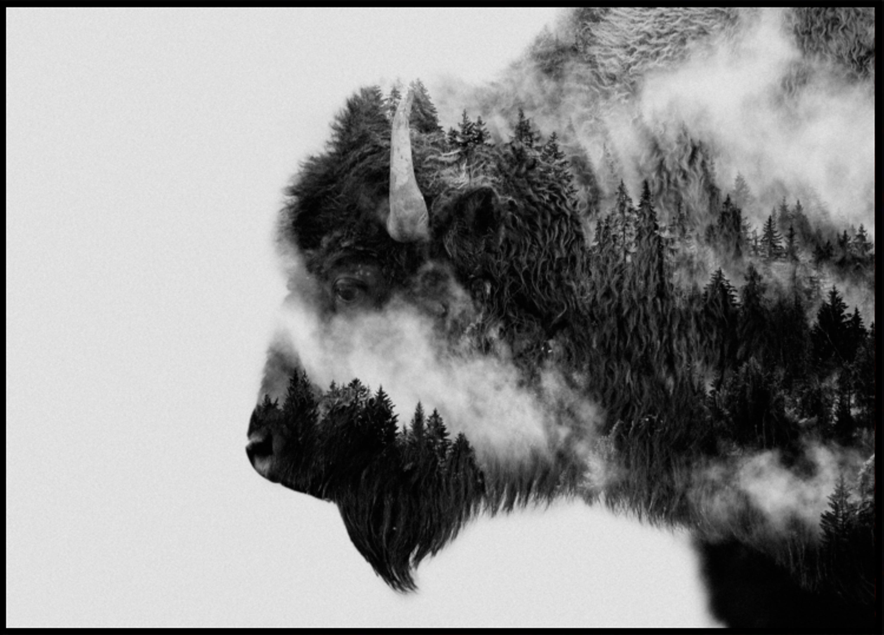 Esprit du bison des forêts