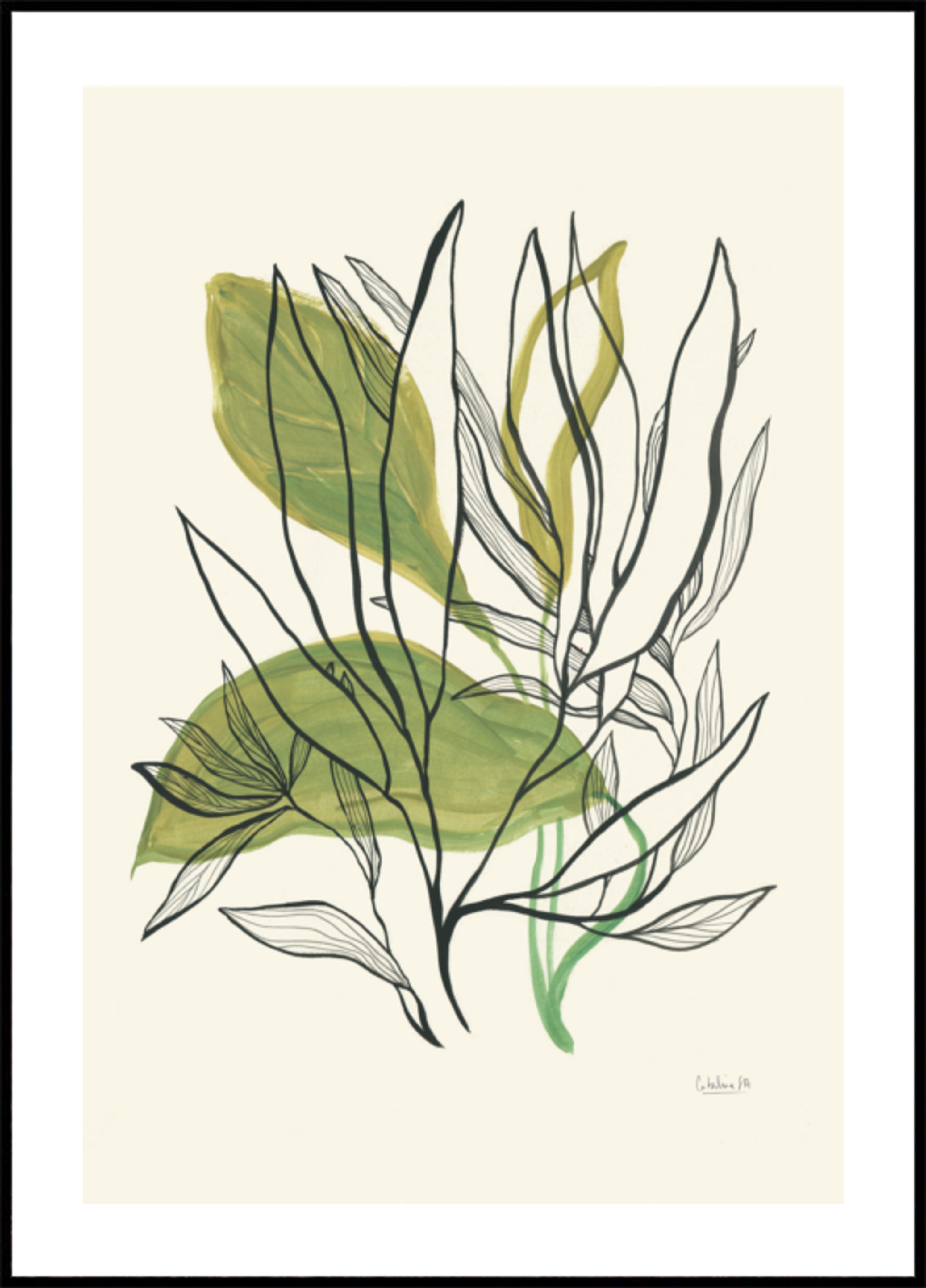 Feuilles botaniques modernes