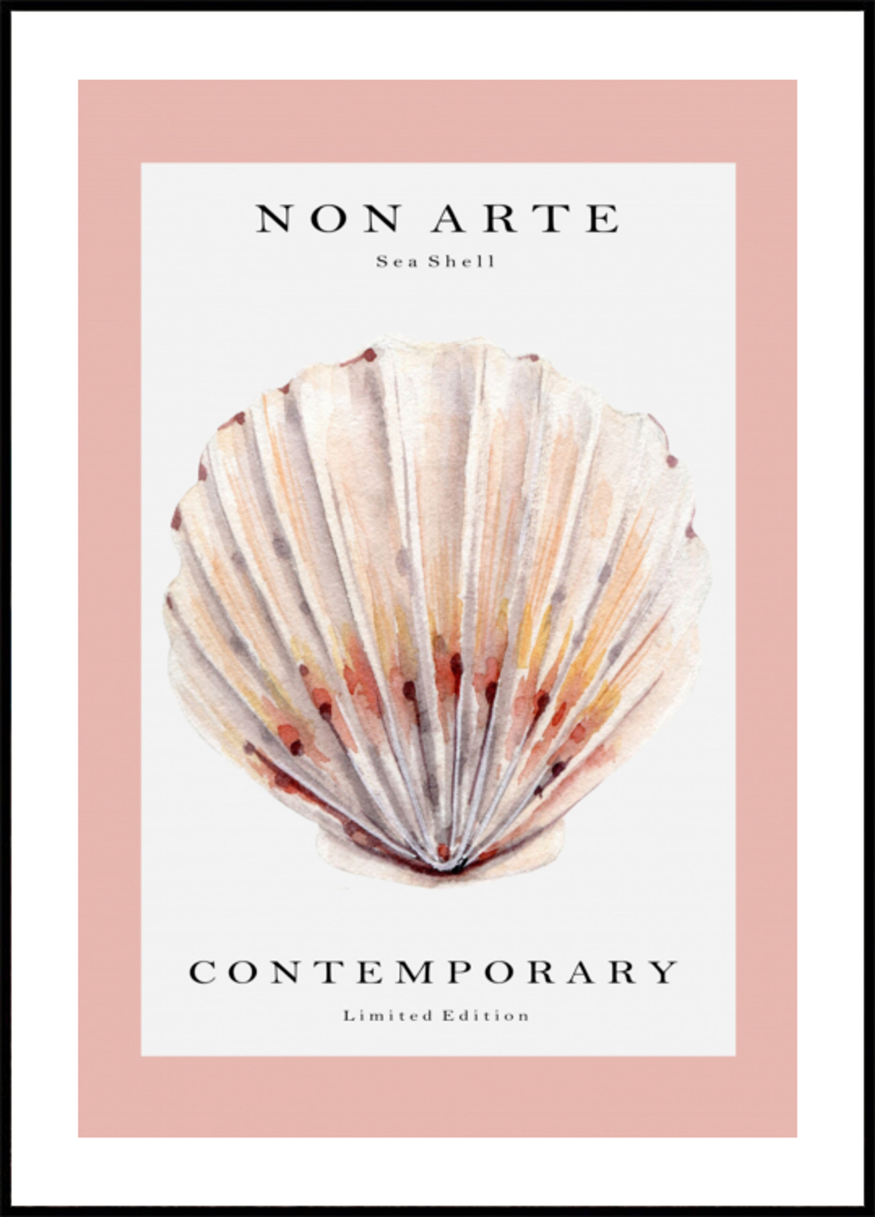Coquille Saint-Jacques aquarelle