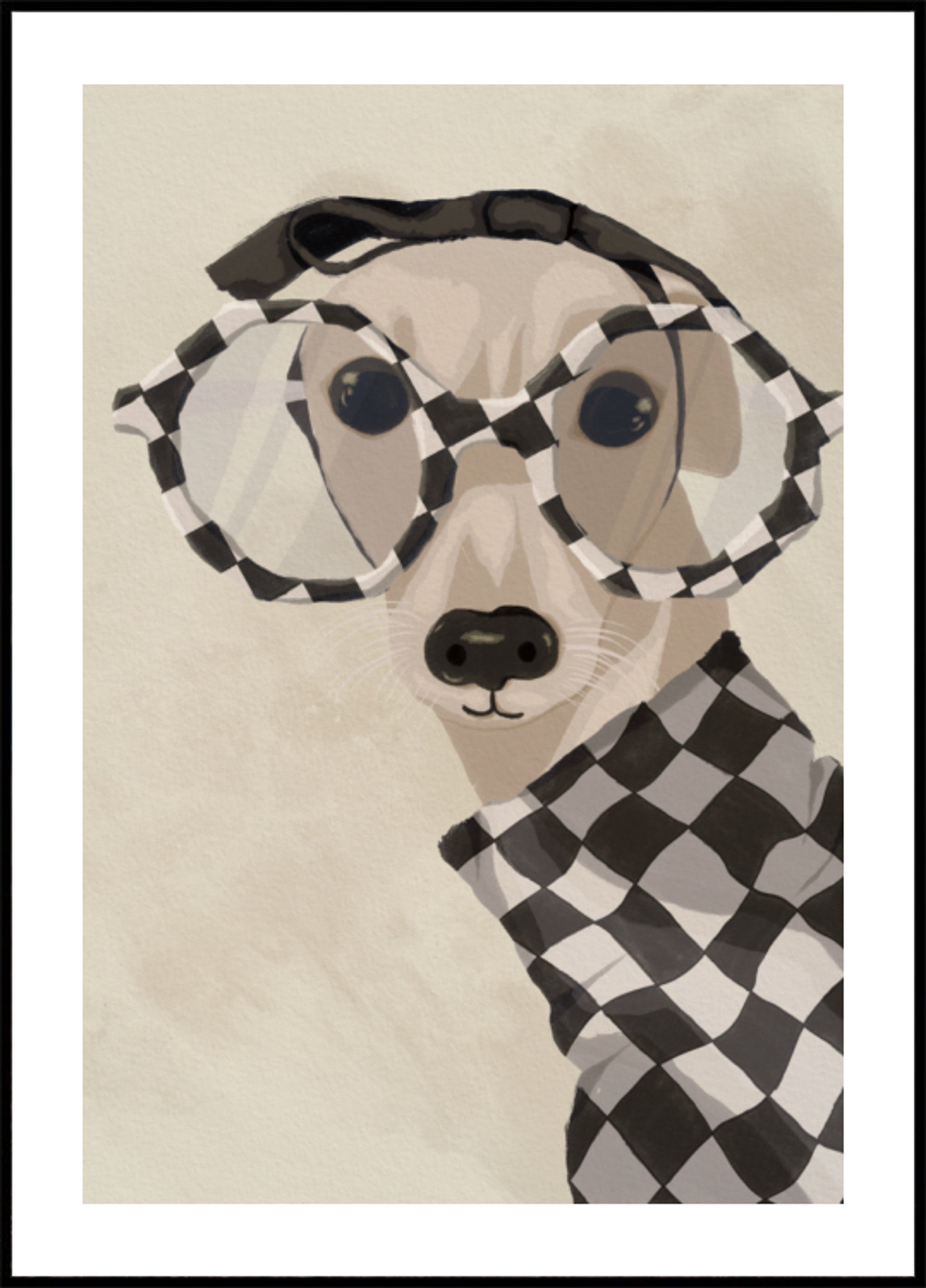 Lévrier Chic Dans Des Lunettes